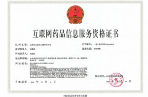 医疗气体工程公司网站备案资质要求